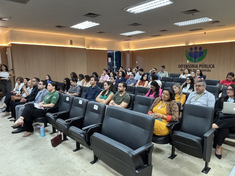 PaisagemII Seminário: Desafios e Contribuições da Defensoria Pública na Luta Antimanicomial